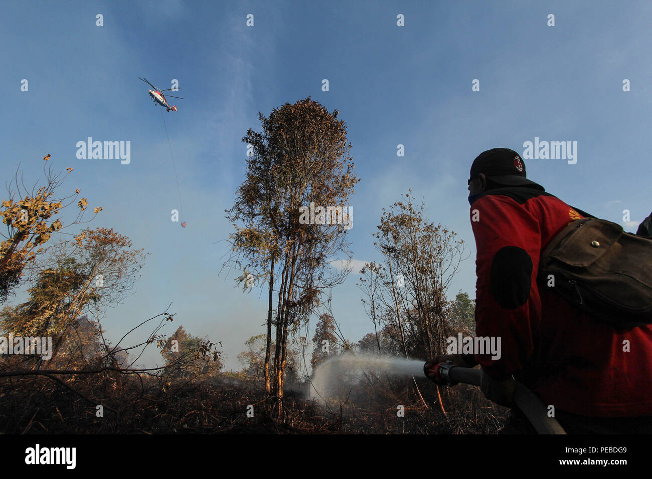 L'Indonésie, Riau, Kampar. 13Th Aug 2018. Un attentat à l'eau et les pompiers d'hélicoptères pulvériser de l'eau sur la superficie forestière brûlée de Kampar dans la province de Riau, l'Indonésie, le 13 août 2018. Les incendies de forêt et de plantation sur l'île indonésienne de Sumatra a été causé par la saison sèche. Credit : Mohammad Adam/Alamy Live News Banque D'Images