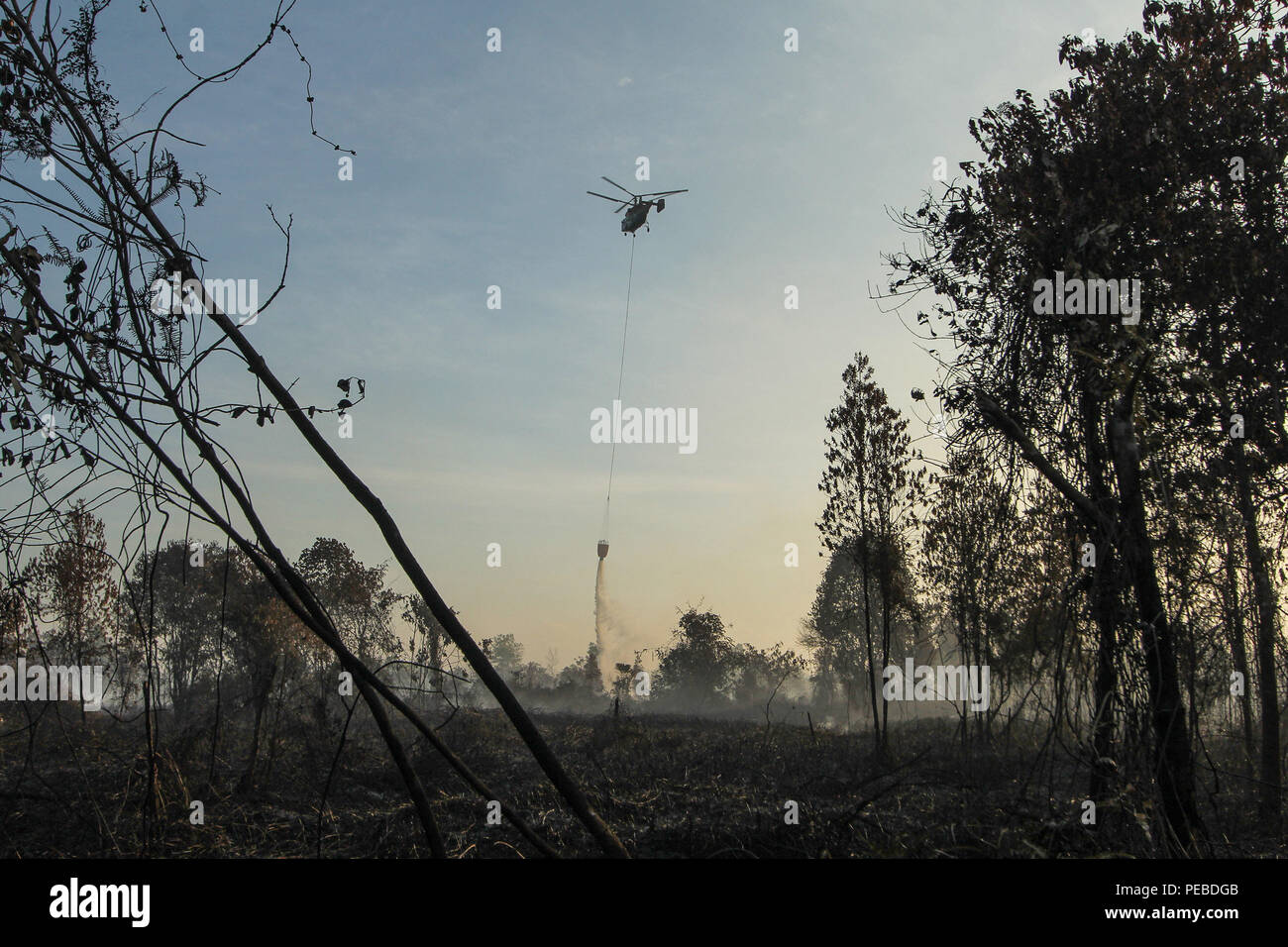 L'Indonésie, Riau, Kampar. 13Th Aug 2018. Un attentat à l'eau gouttes d'hélicoptère de l'eau pour éteindre le feu dans la province de Riau, Kampar, Indonésie, le 13 août 2018. Les incendies de forêt et de plantation sur l'île indonésienne de Sumatra a été causé par la saison sèche. Credit : Mohammad Adam/Alamy Live News Banque D'Images