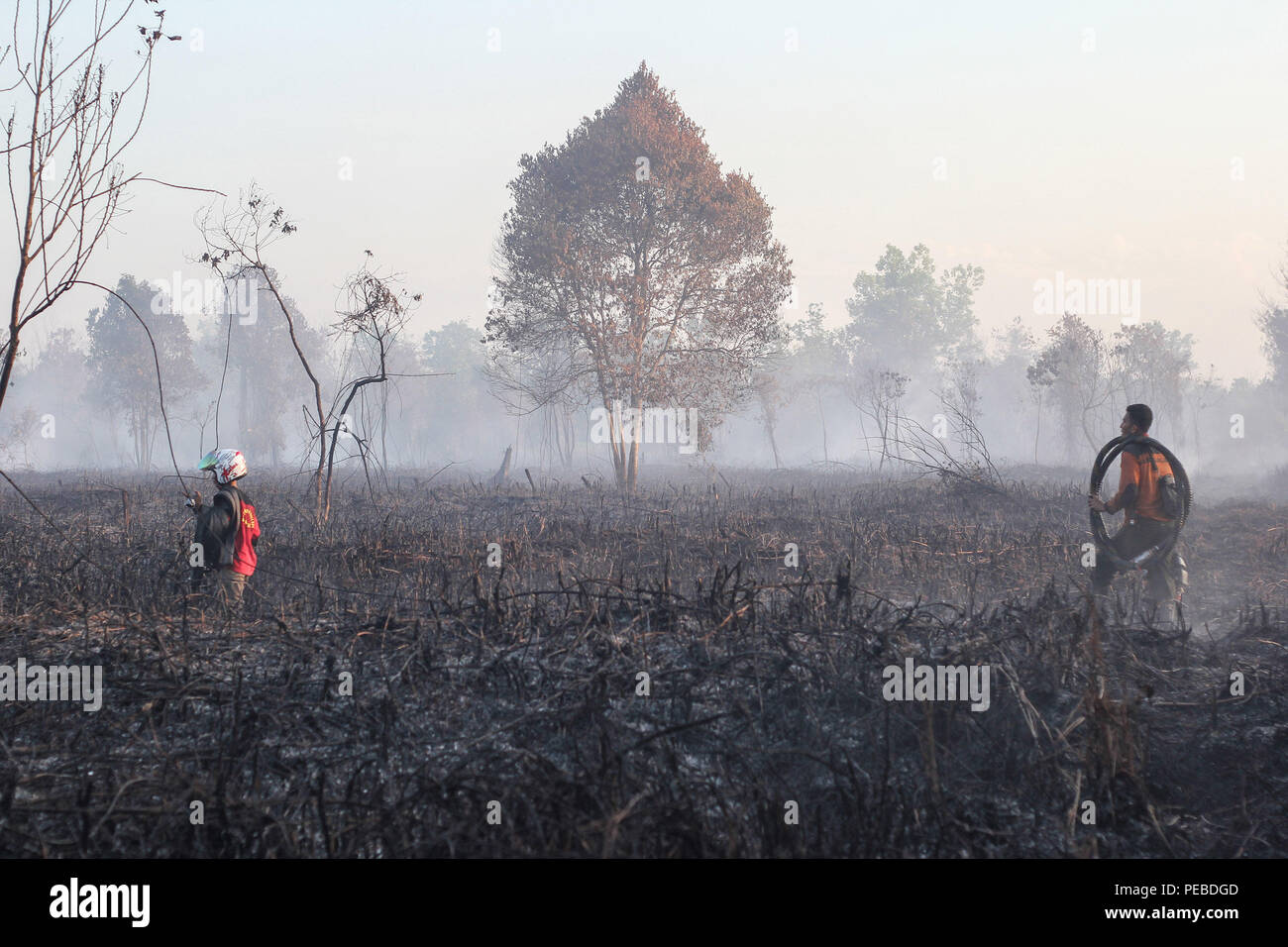 L'Indonésie, Riau, Kampar. 13Th Aug 2018. Un bombardement de l'eau a baissé d'hélicoptère de l'eau pour éteindre le feu dans la province de Riau, Kampar, Indonésie, le 13 août 2017. Les incendies de forêt et de plantation sur l'île indonésienne de Sumatra a été causé par la saison sèche. Chef des pompiers sur les lieux pour éteindre les feux de tourbières dans la région de Riau, Kampar, Indonésie, le 13 août 2018. Plusieurs provinces de l'Indonésie ont mis l'état d'alerte d'urgence pour les feux de forêts et des terres. Credit : Mohammad Adam/Alamy Live News Banque D'Images
