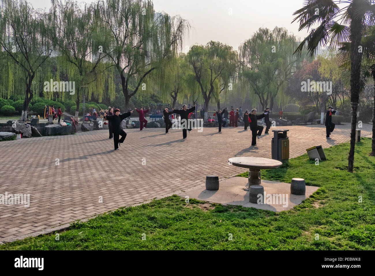 Groupe d'adultes chinois pratiquer le Tai Chi dans un parc, Xi'an, Chine Banque D'Images