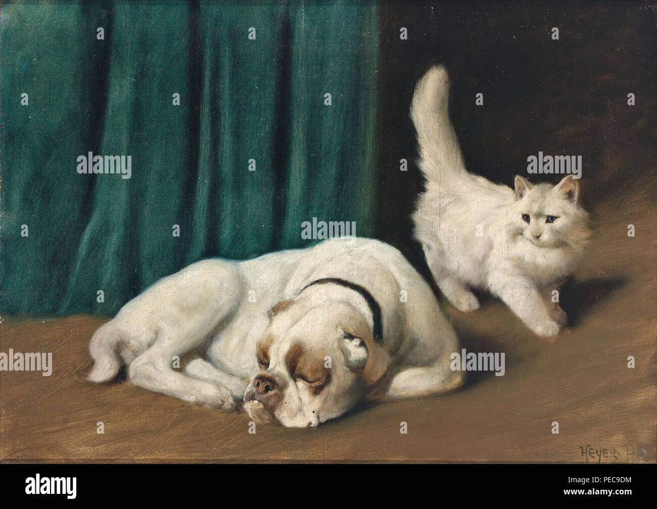Arthur Heyer Ruhende Bulldogge und weiße Perserkatze. Banque D'Images