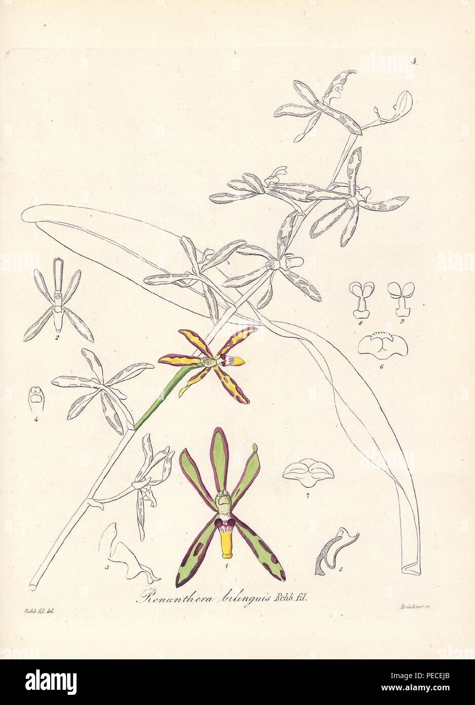 Labrosa Banque de photographies et d’images à haute résolution Alamy