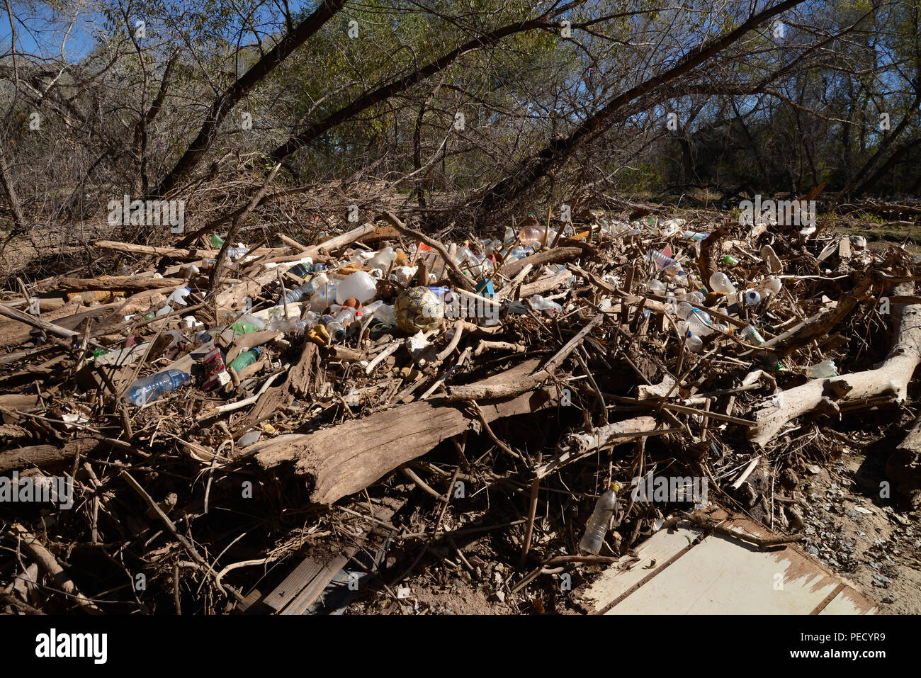 Corbeille, y compris les plastiques, obstrue les Santa Cruz, le long de la rivière Juan Batista de Anza National Historic Trail, Tubac, Arizona, USA. Banque D'Images