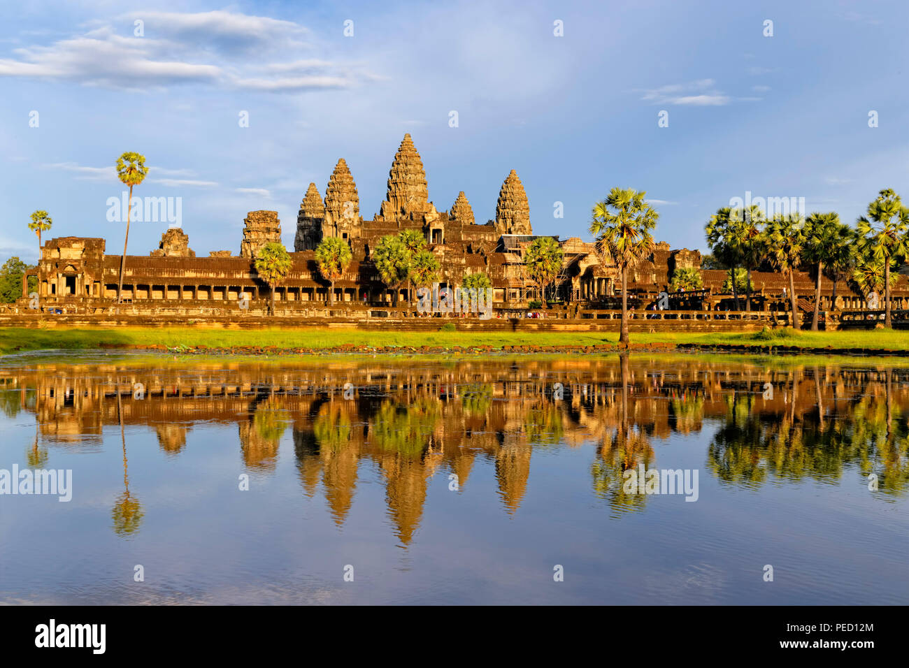 La lumière de l'après-midi d'or & Réflexion de Temple d'Angkor Wat, Siem Reap, Cambodge Banque D'Images