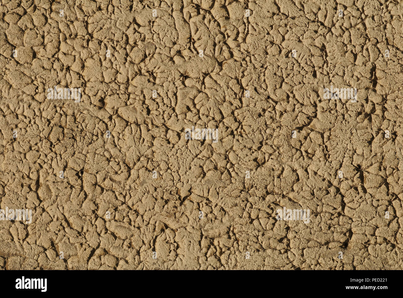 Mur de ciment. Pour l'utiliser comme arrière-plan Banque D'Images