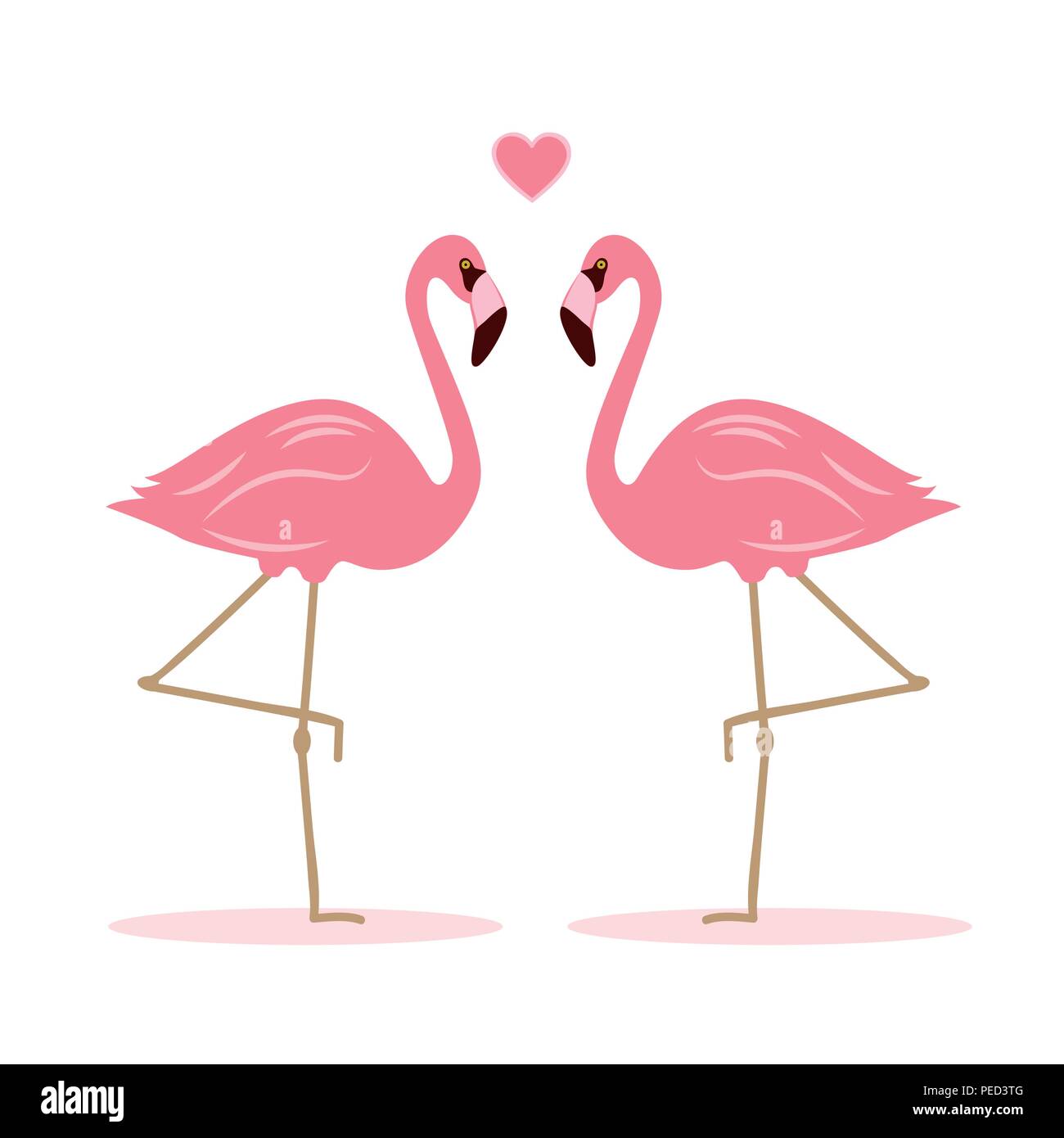 Deux flamants roses dans l'amour vector illustration EPS10 Illustration de Vecteur