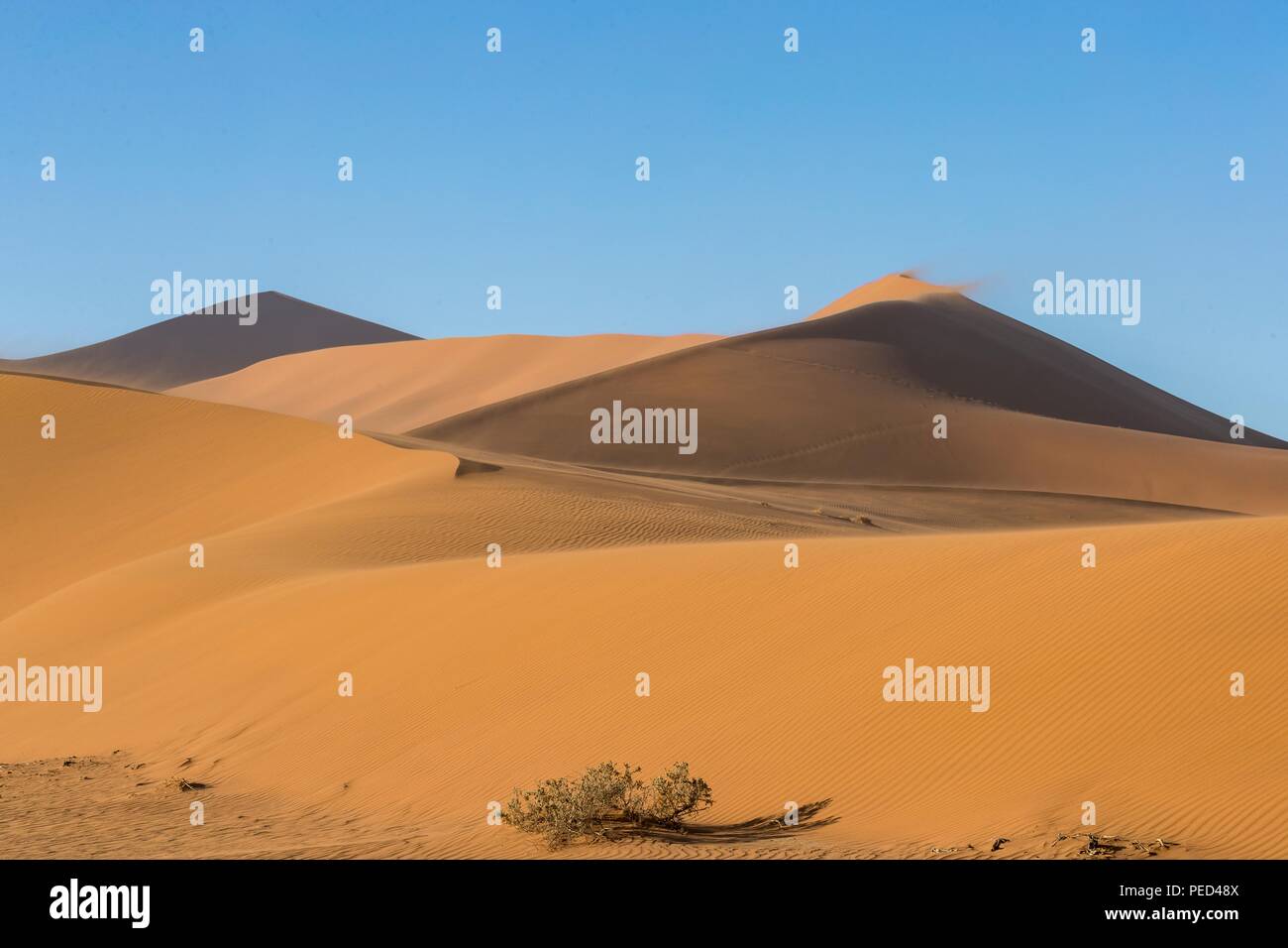 Sossusvlei (parfois écrit Sossus Vlei) est un sel et de l'argile pan entouré de hautes dunes rouges, situé dans la partie sud du désert du Namib, en t Banque D'Images