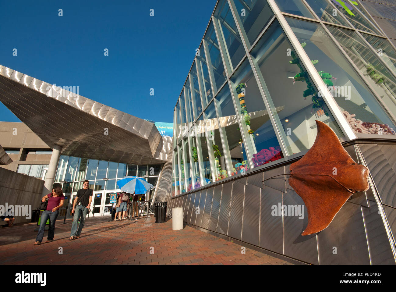 New England Aquarium, Boston, comté de Suffolk, Massachusetts, USA Banque D'Images