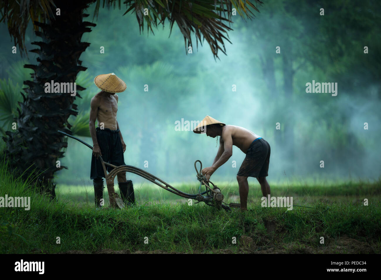 Les agriculteurs sont la préparation d'outils pour les agriculteurs en Thaïlande. Banque D'Images