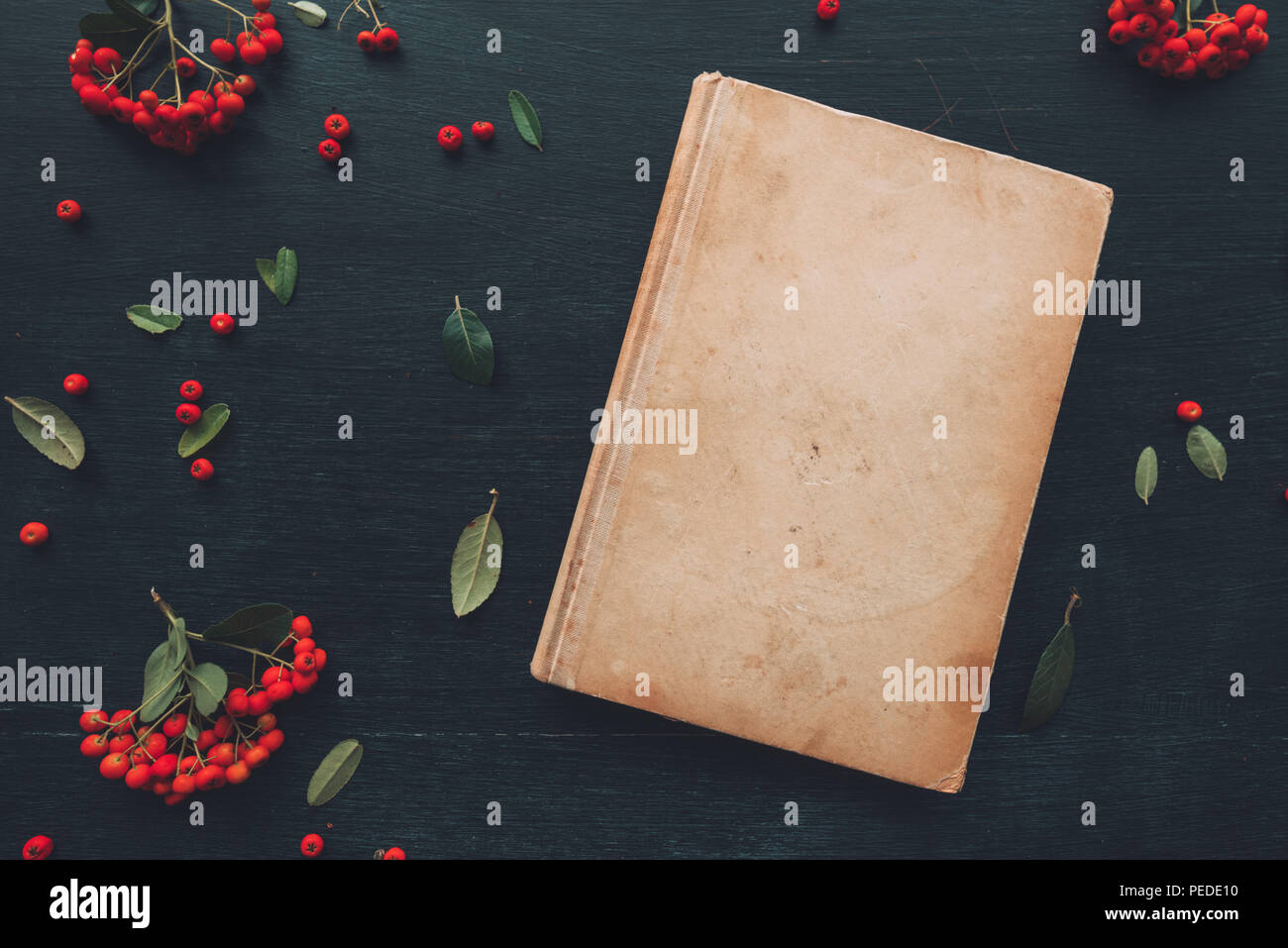 Mise à plat vintage livre relié, vue supérieure avec de petits fruits sauvages arrangement décoratif Banque D'Images
