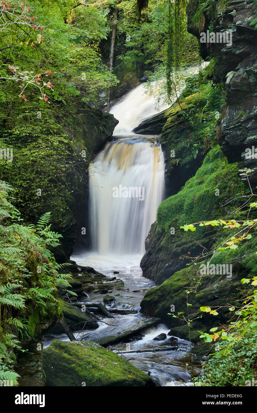 Afon Cynfal Cynfal Ceunant qui passe par la réserve naturelle nationale pour le sud de l'Llanffestiniog  dans le Nord du Pays de Galles.( couleur corrigée) Banque D'Images