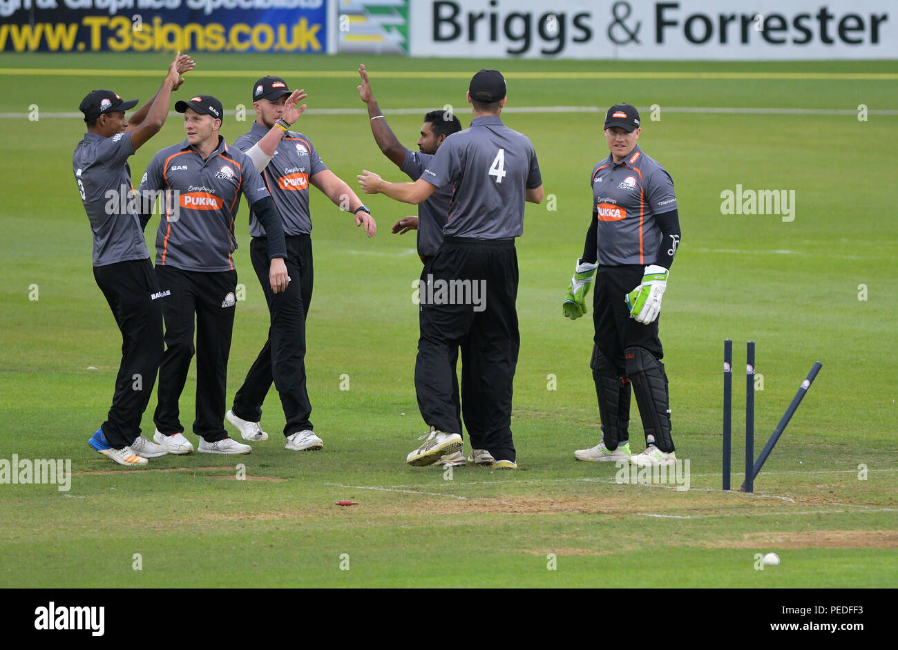 Green King IPA : Pro AM T20 Pro Finale 2018 Midlands:Travis Perkins ,Pukka Pies,Greene King,Barmy Army Banque D'Images