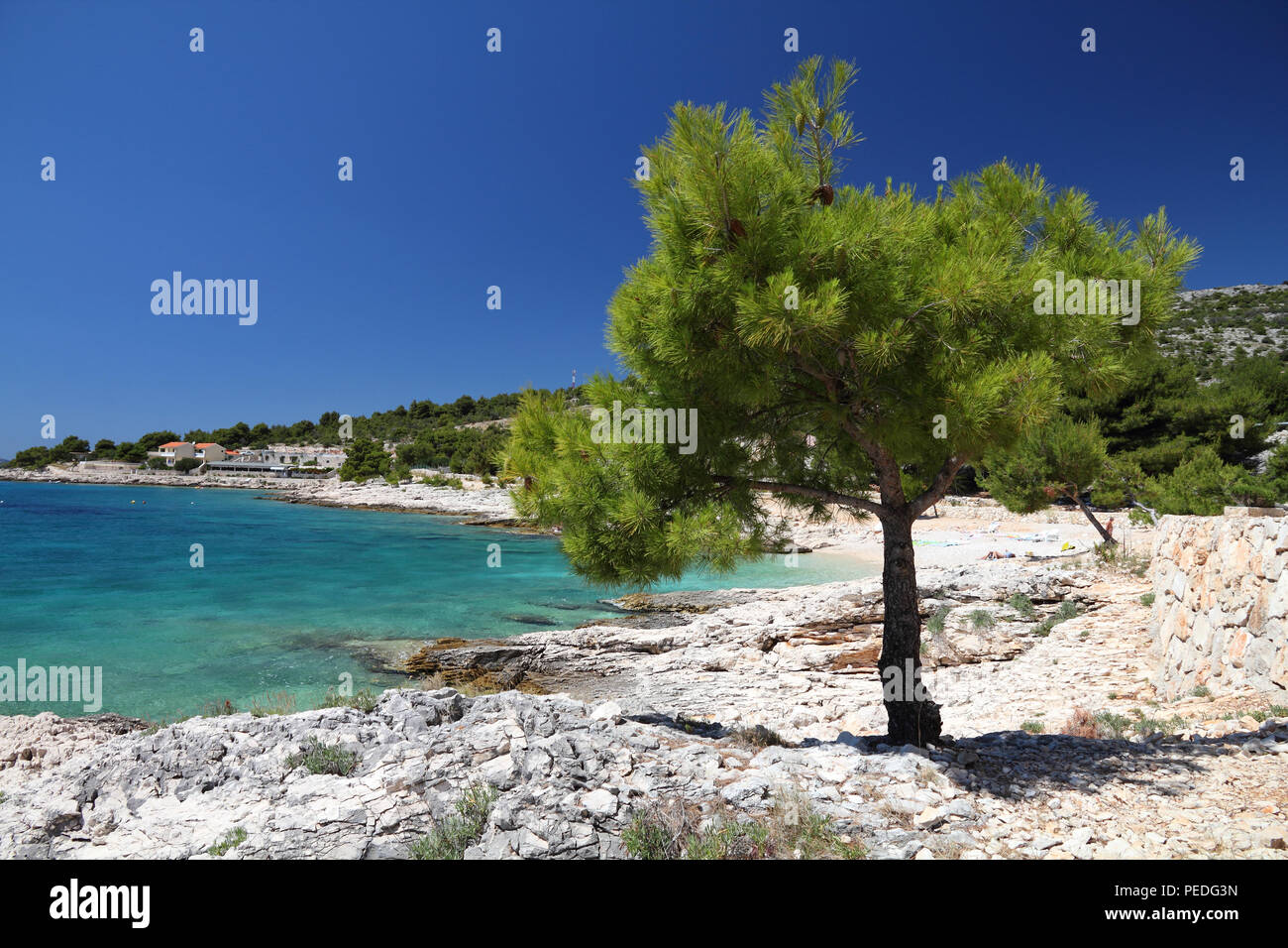 Croatie - paysage de la côte de Dalmatie. Dolac plage - Mer Adriatique. Banque D'Images