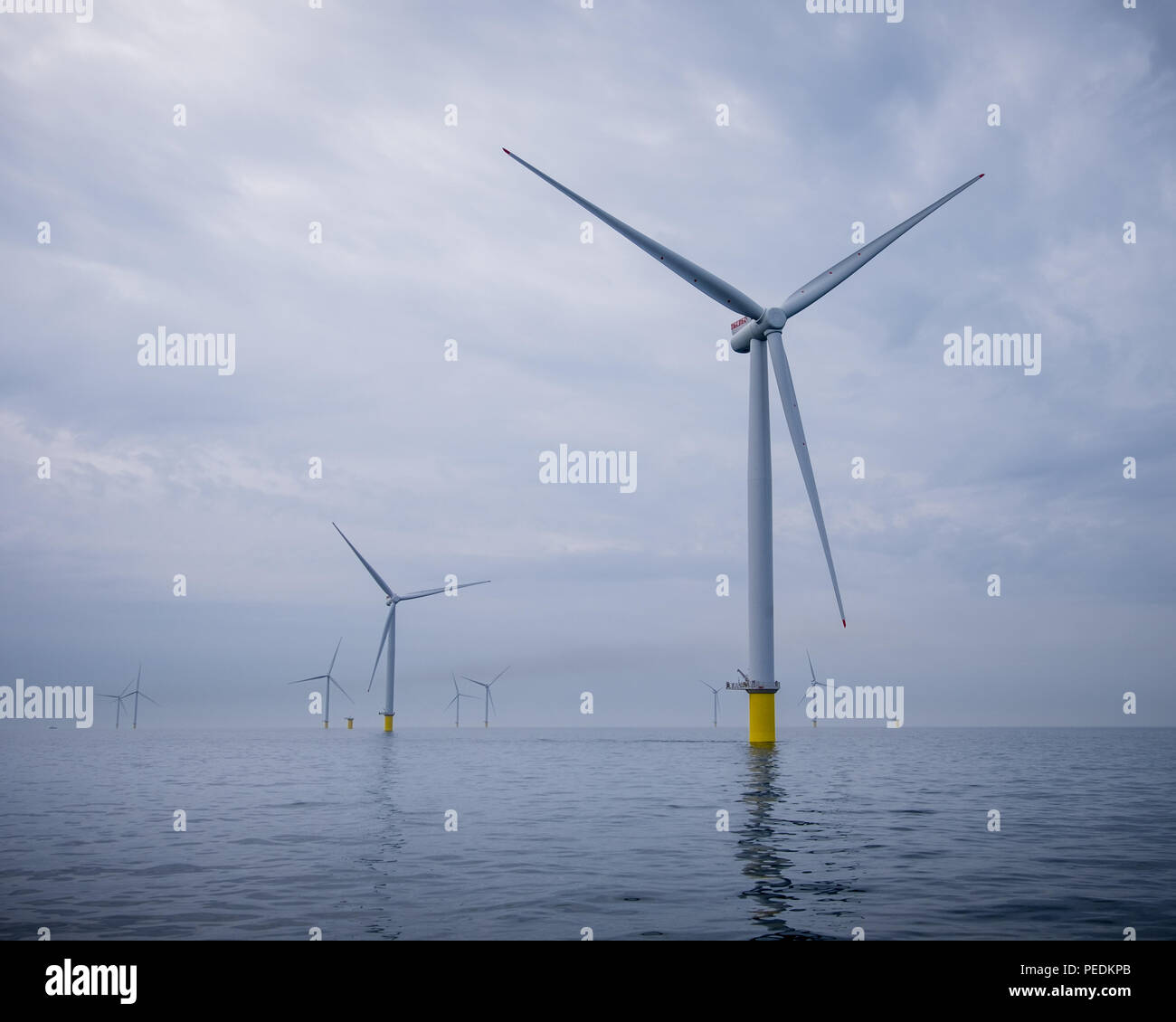 Éoliennes sur le parc éolien offshore Banque de course dans le sud de la mer du Nord, Royaume-Uni Banque D'Images