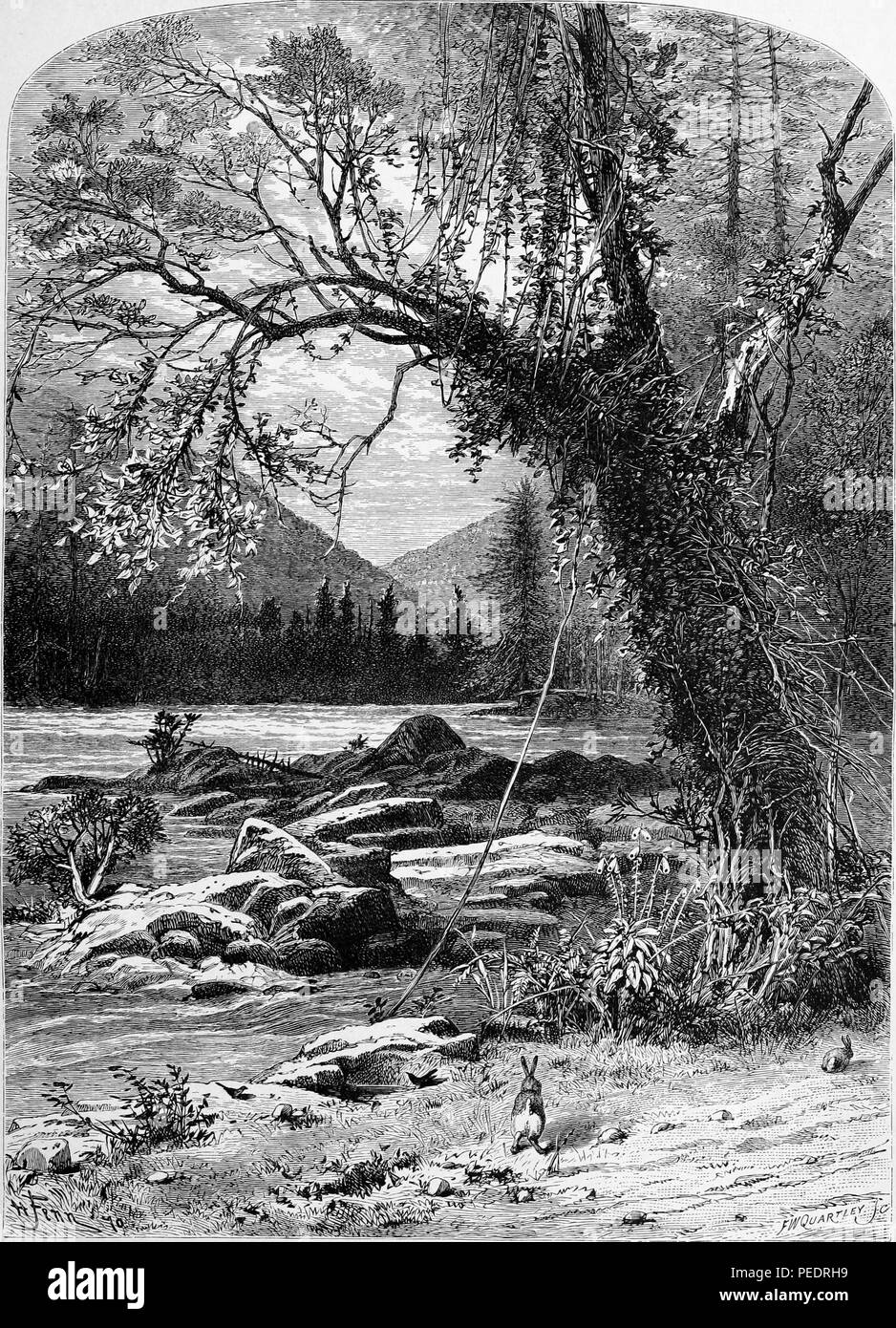 Tirage d'époque en noir et blanc illustrant une vue de la large rivière française, avec des lapins hopping près d'un grand arbre dans l'avant-plan et les Blue Ridge Mountains en arrière-plan, situé dans l'ouest de la Caroline du Nord, USA, publié dans William Cullen Bryant's edited volumes 'Amérique pittoresque ; ou, le pays dans lequel nous vivons", 1872. Avec la permission de Internet Archive. () Banque D'Images