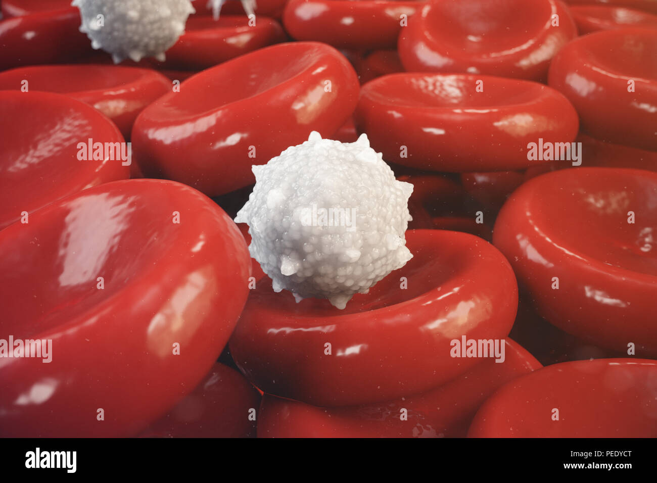 Les globules rouges, les leucocytes ou globules blancs, sont les cellules du système immunitaire, l'infection. Concept de la médecine. 3D illustration Banque D'Images
