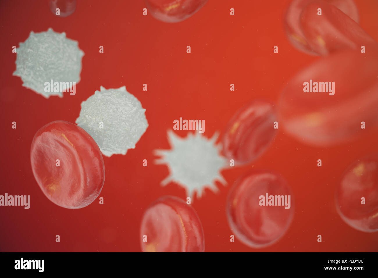 Les globules rouges, les leucocytes ou globules blancs, sont les cellules du système immunitaire, l'infection. Concept de la médecine. 3D illustration Banque D'Images