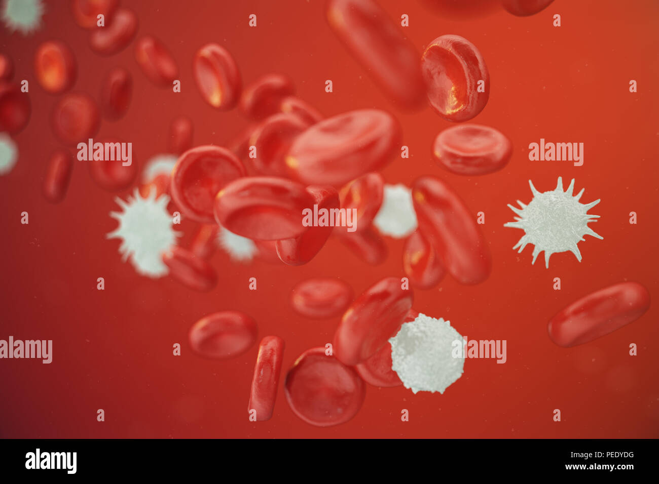 Les globules rouges, les leucocytes ou globules blancs, sont les cellules du système immunitaire, l'infection. Concept de la médecine. 3D illustration Banque D'Images