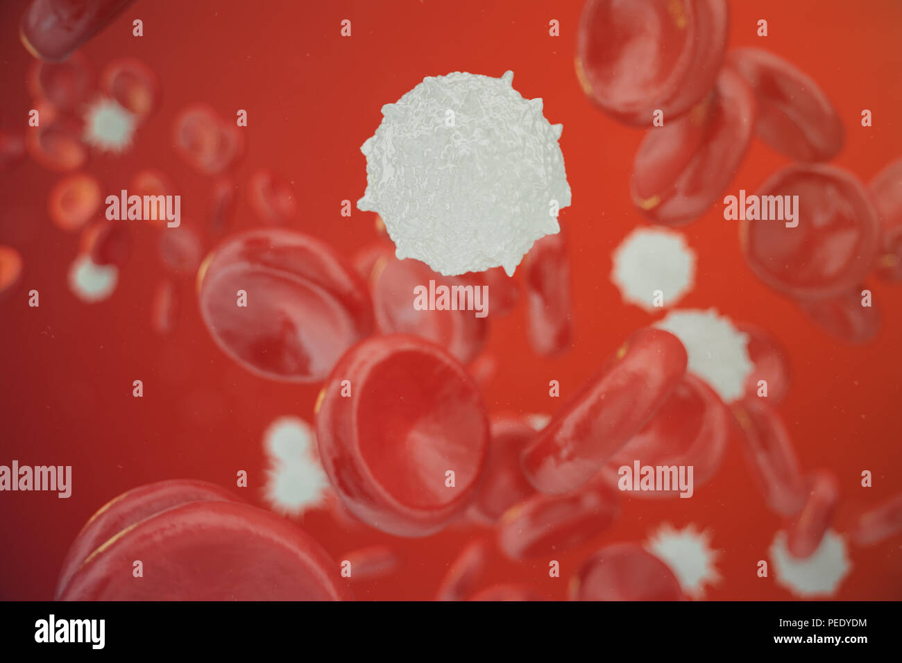 Les globules rouges, les leucocytes ou globules blancs, sont les cellules du système immunitaire, l'infection. Concept de la médecine. 3D illustration Banque D'Images