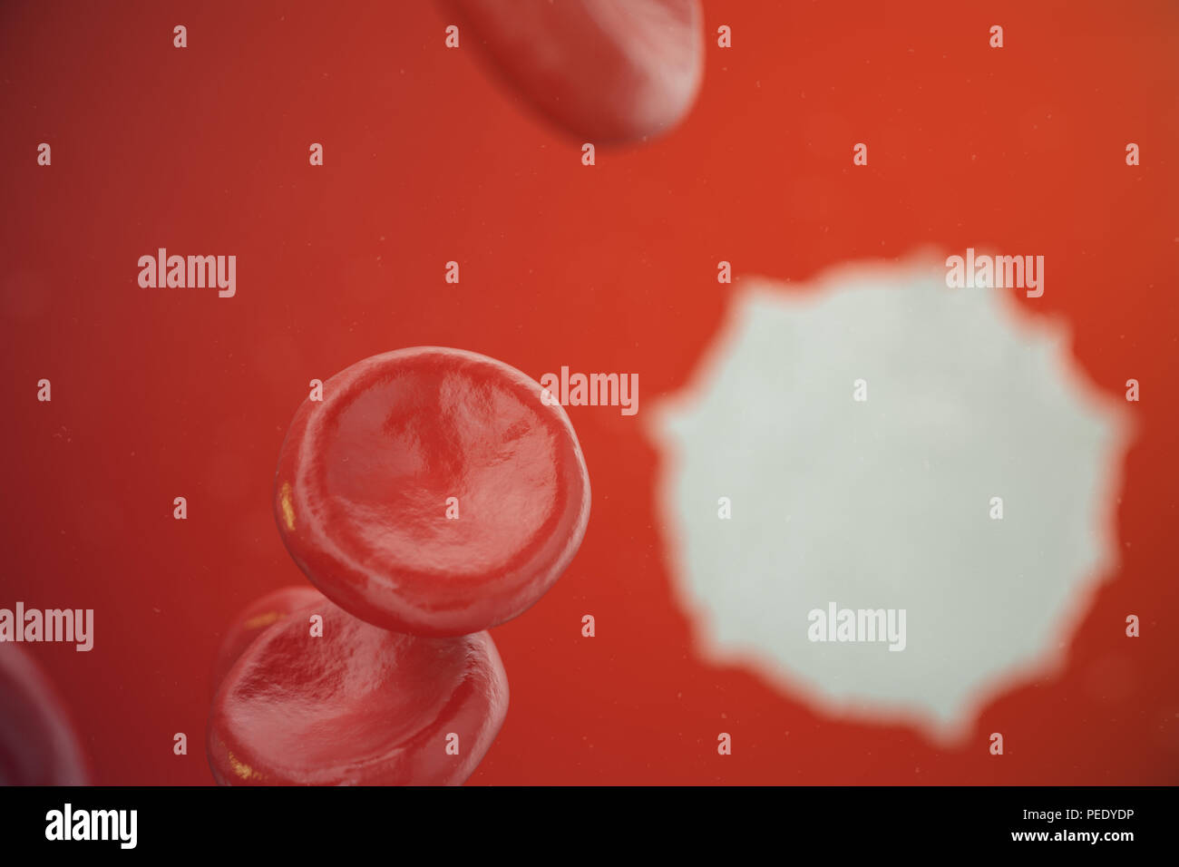 Les globules rouges, les leucocytes ou globules blancs, sont les cellules du système immunitaire, l'infection. Concept de la médecine. 3D illustration Banque D'Images
