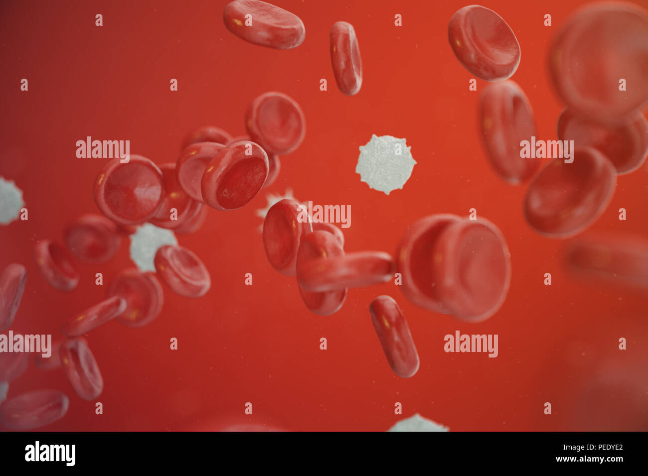 Les globules rouges, les leucocytes ou globules blancs, sont les cellules du système immunitaire, l'infection. Concept de la médecine. 3D illustration Banque D'Images