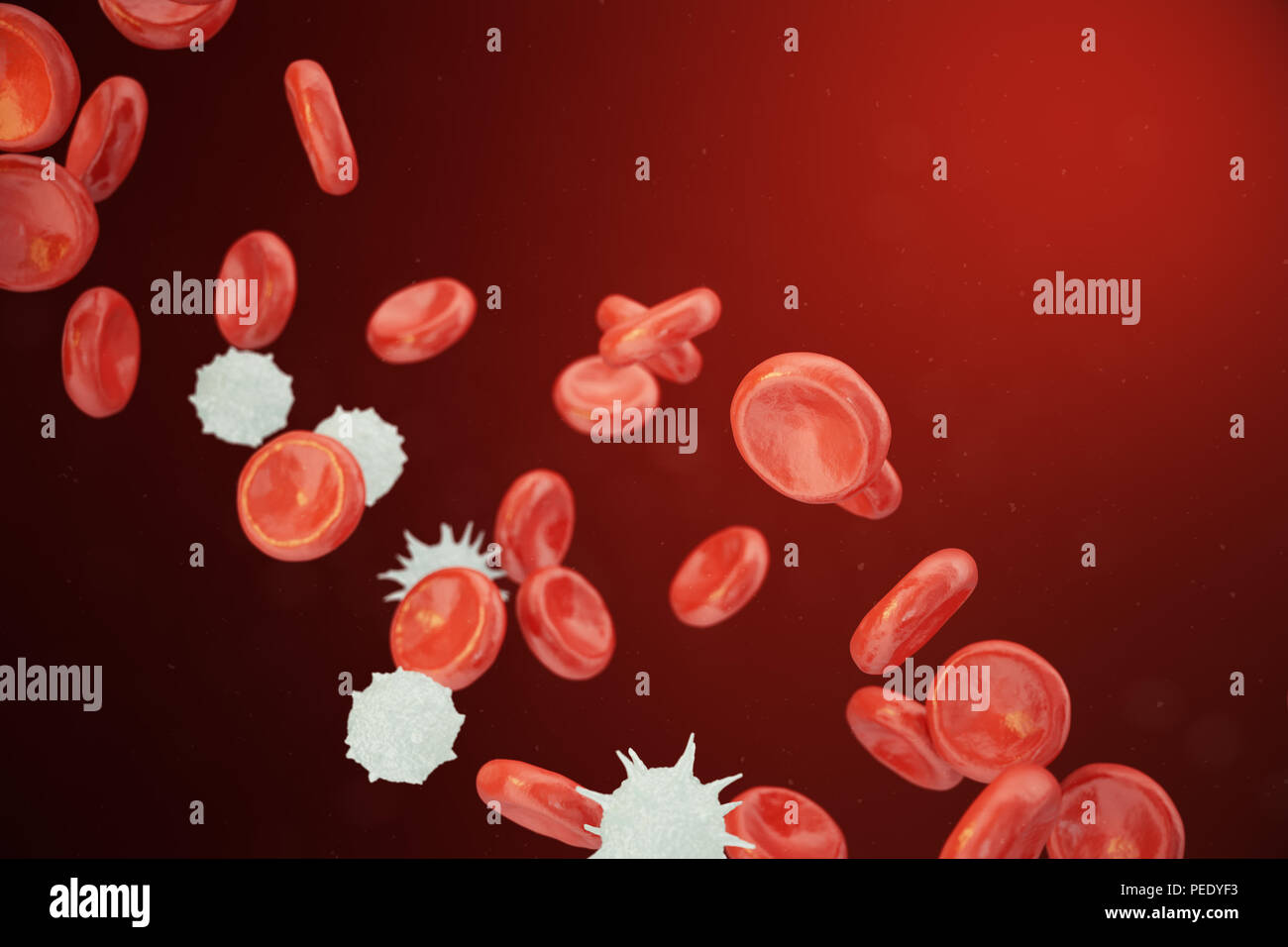 Les globules rouges et blancs, les neutrophiles libérant les éosinophiles, les basophiles, lymphocytes, sont les cellules du système immunitaire, 3D illustration Banque D'Images