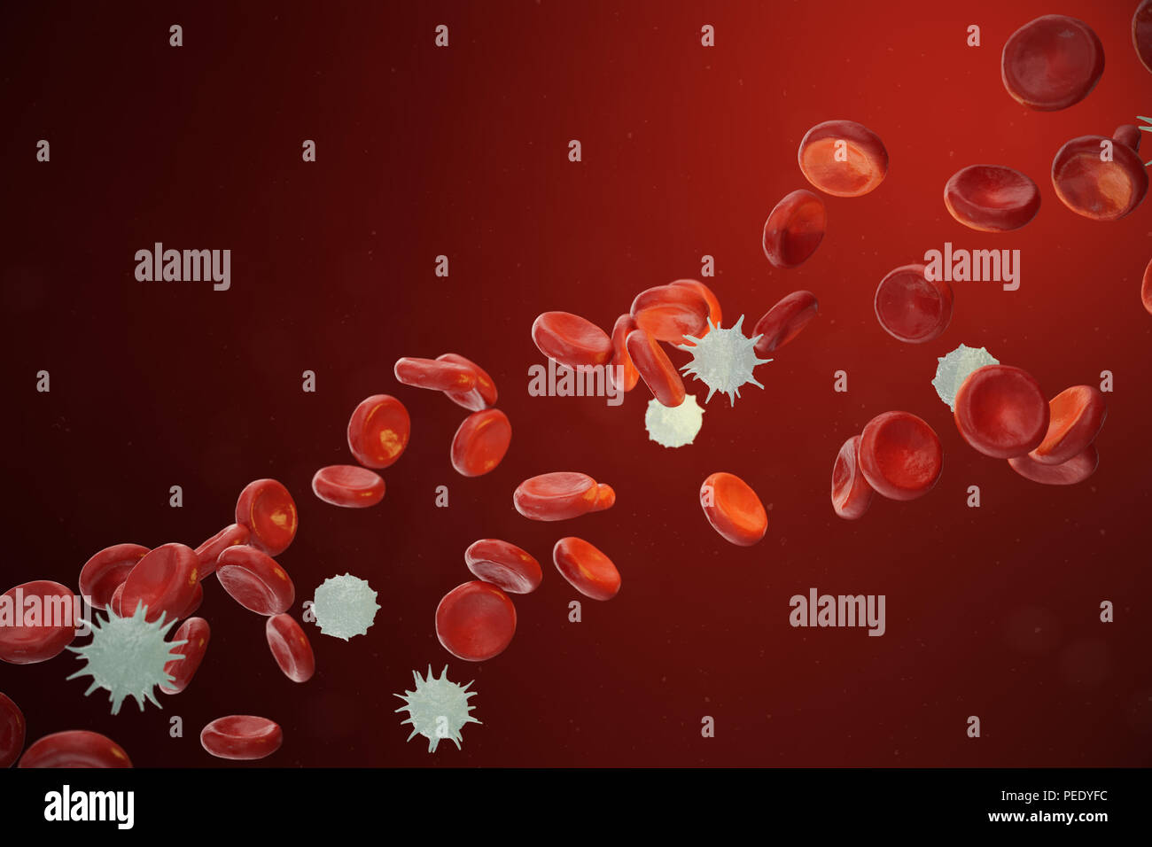 Les globules rouges et blancs, les neutrophiles libérant les éosinophiles, les basophiles, lymphocytes, sont les cellules du système immunitaire, 3D illustration Banque D'Images
