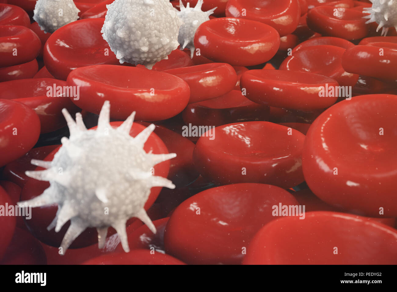 Les globules rouges, les leucocytes ou globules blancs, sont les cellules du système immunitaire, l'infection. Concept de la médecine. 3D illustration Banque D'Images
