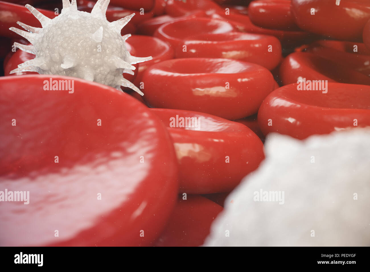 Les globules rouges, les leucocytes ou globules blancs, sont les cellules du système immunitaire, l'infection. Concept de la médecine. 3D illustration Banque D'Images