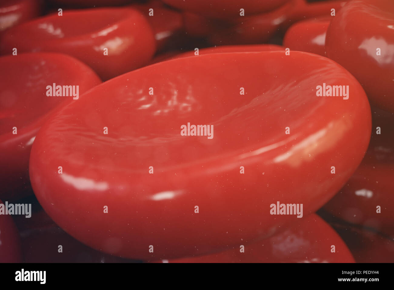 Les globules rouges, les leucocytes ou globules blancs, sont les cellules du système immunitaire, l'infection. Concept de la médecine. 3D illustration Banque D'Images