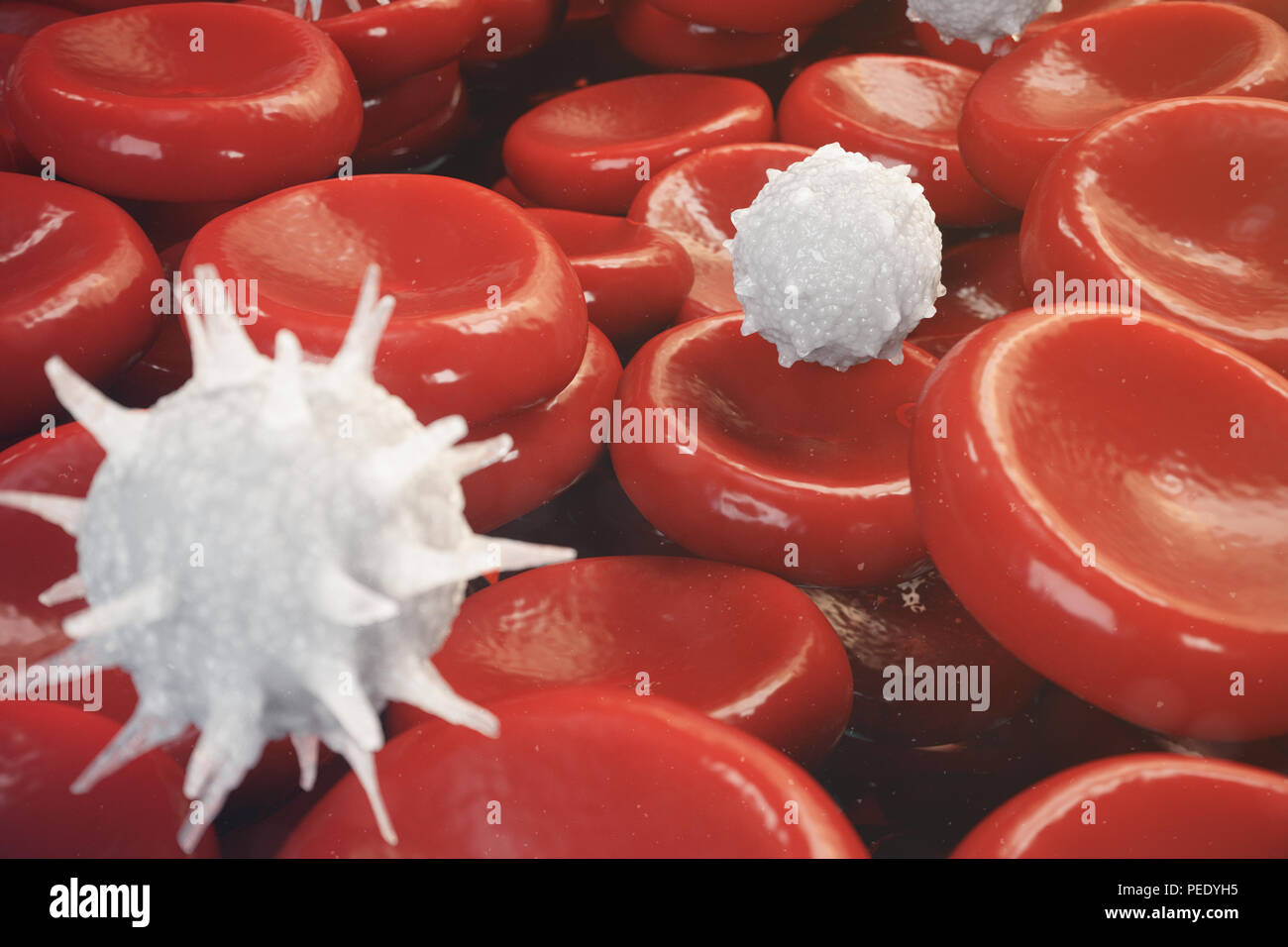Les globules rouges, les leucocytes ou globules blancs, sont les cellules du système immunitaire, l'infection. Concept de la médecine. 3D illustration Banque D'Images