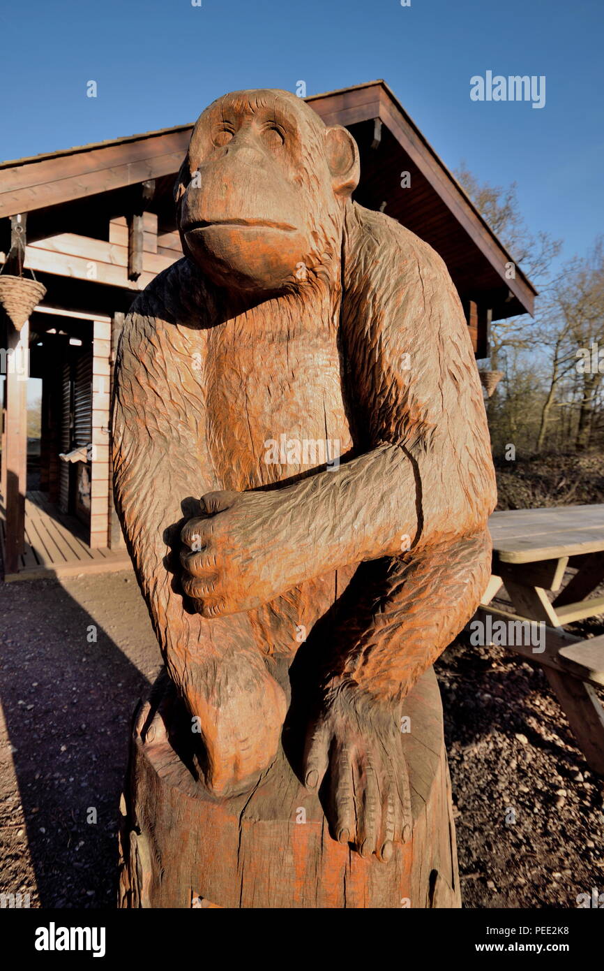 Statue de singe dans Trent Park, Londres Banque D'Images