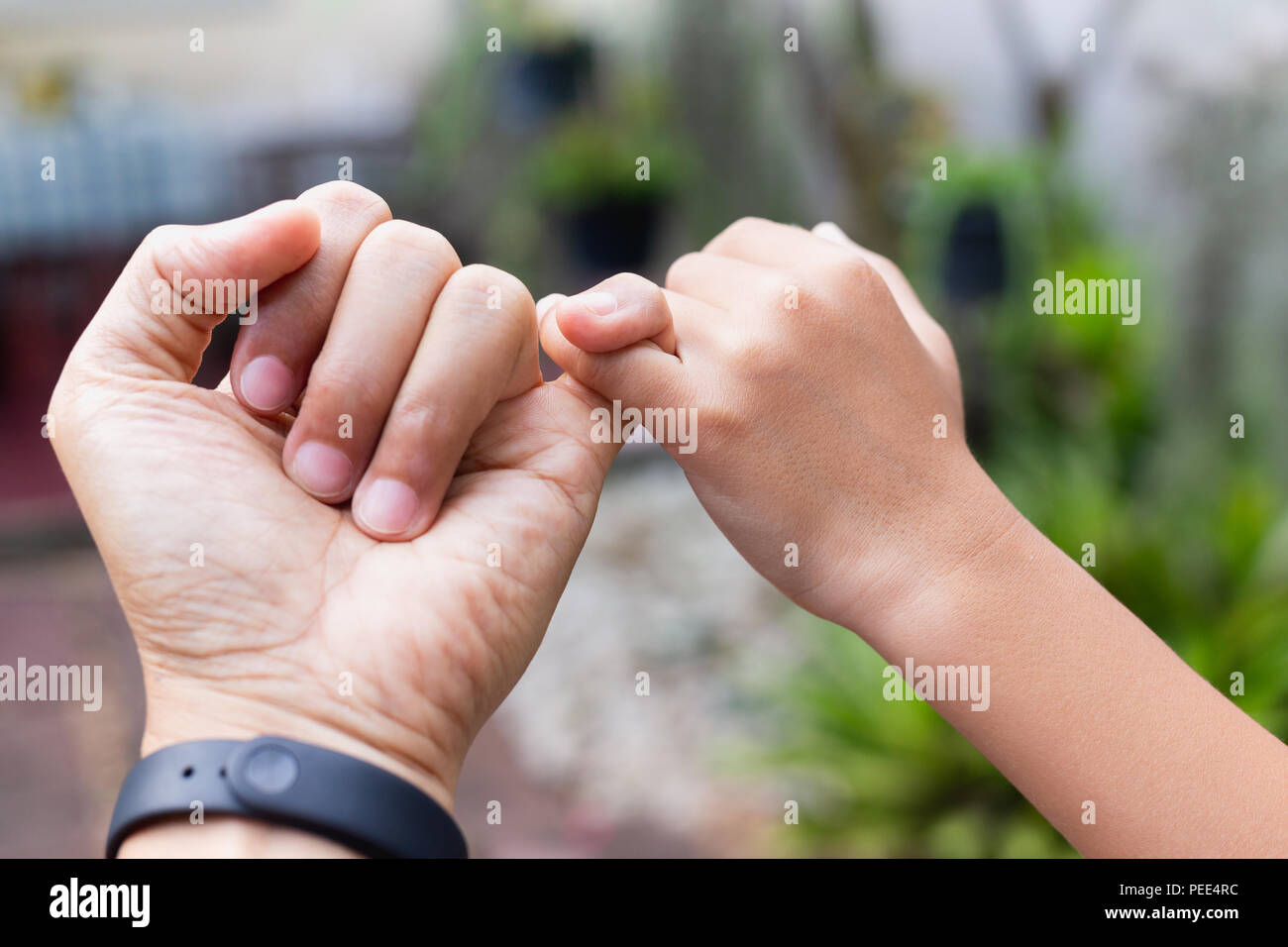 Papa de jura Banque de photographies et d’images à haute résolution - Alamy