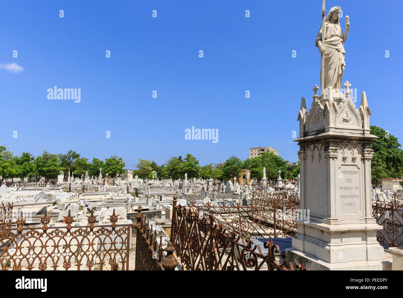 Le célèbre cimetière Colon, Cementerio Cristóbal Colón, Vedado, La Havane, Cuba Banque D'Images