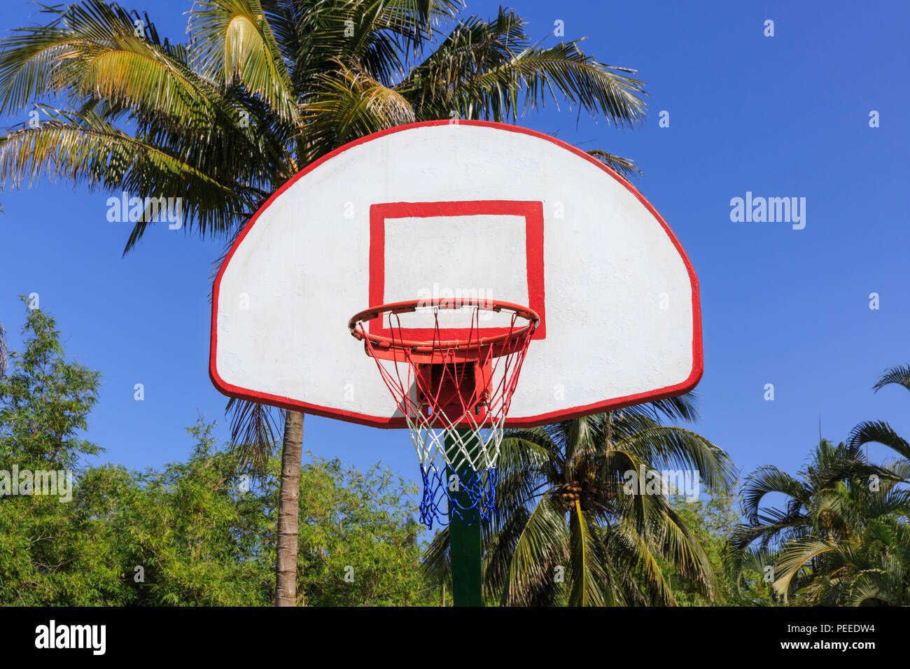 Panier de basket-ball, à l'extérieur en lieu tropical sur fond de ciel bleu et de palmiers Banque D'Images