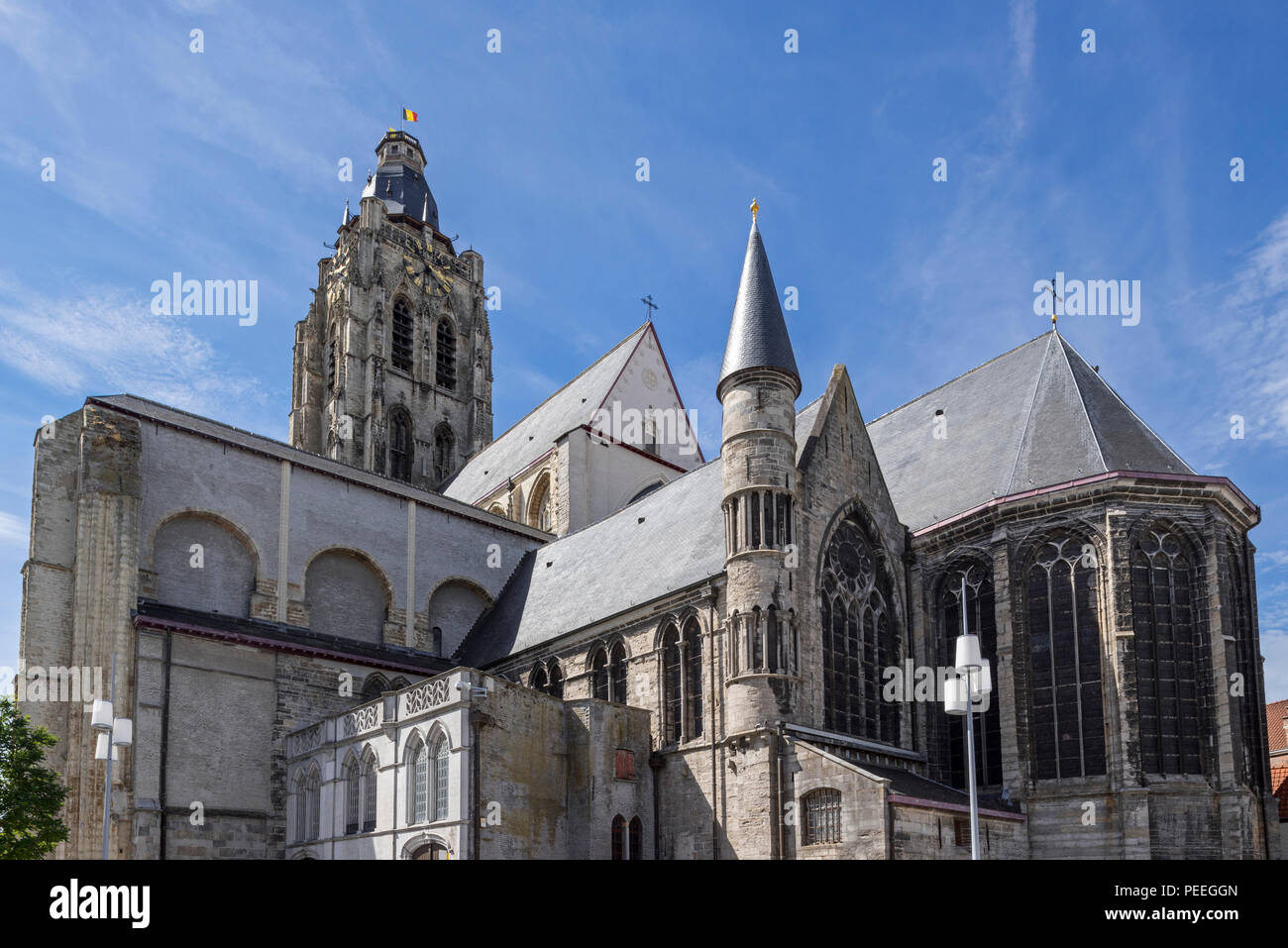 Collégiale St Walburga / Sint-Walburgakerk dans la ville d'Audenarde, Flandre orientale, Belgique Banque D'Images