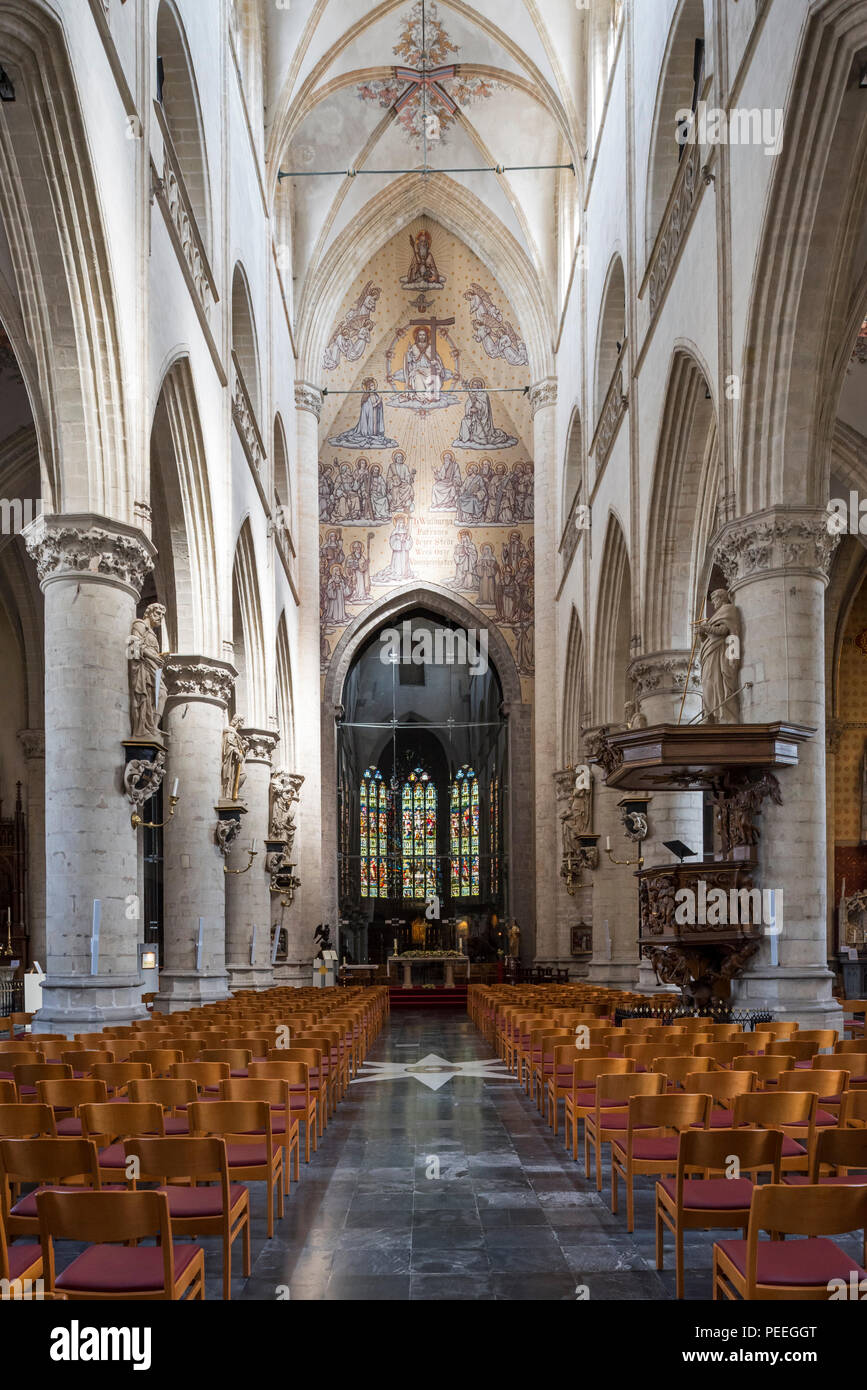Collégiale St Walburga / Sint-Walburgakerk dans la ville d'Audenarde, Flandre orientale, Belgique Banque D'Images