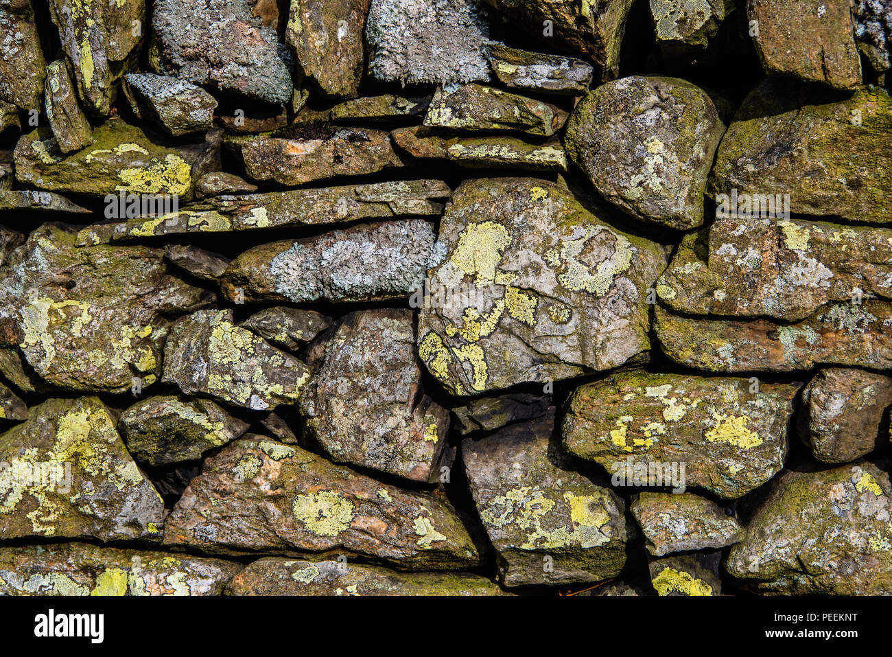 Un gros plan d'une section de mur en pierre sèche dans le Lake District Banque D'Images