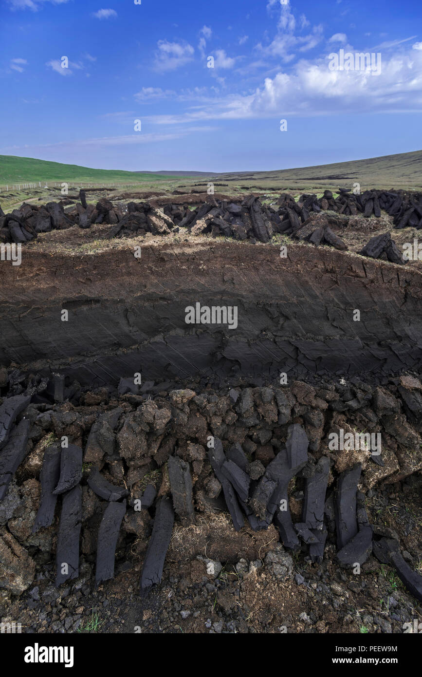 Section transversale de la lande montrant la végétation en décomposition / moss et des piles de tourbe récoltée séchage pour être utilisé comme carburant traditionnel, Shetland, Scotland, UK Banque D'Images