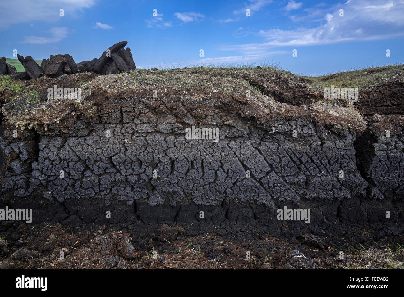 Section transversale de la lande montrant la végétation en décomposition / moss et des piles de tourbe récoltée séchage pour être utilisé comme carburant traditionnel, Shetland, Scotland, UK Banque D'Images