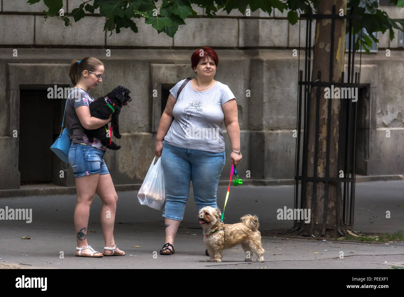 rencontres femmes budapest