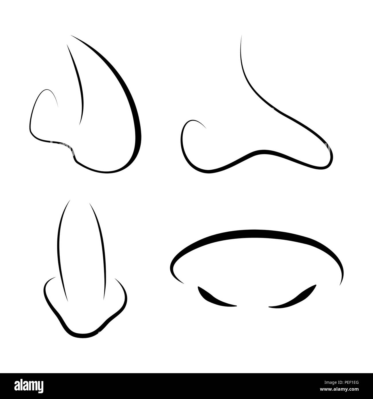 Nez humain avant-projet isolé sur fond blanc Illustration de Vecteur