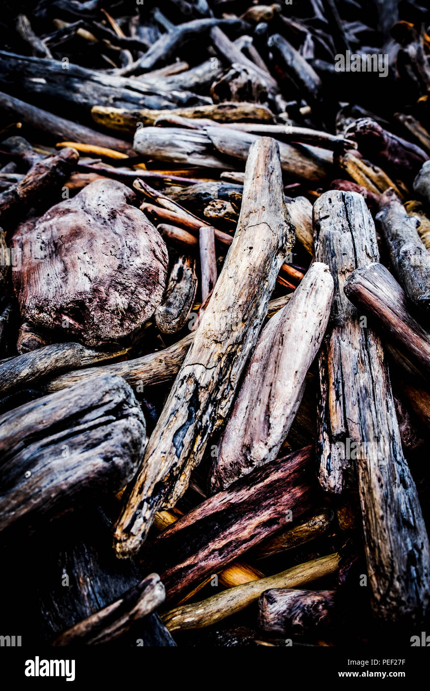 Des piles de bois flotté à la teigne de la rivière Storms en Afrique du Sud. Banque D'Images