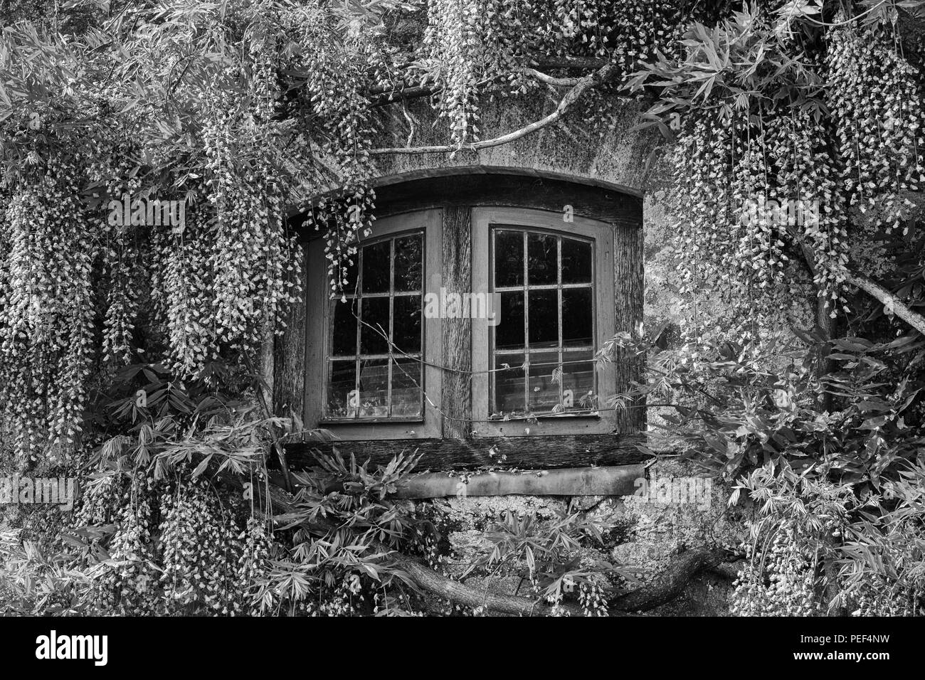 Montacute house Banque D'Images