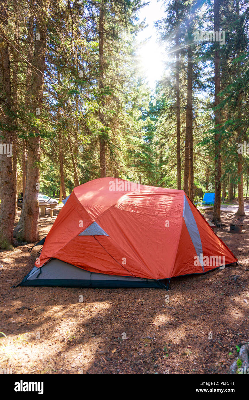 Morning Sunrise sur tente de camping dans le désert de l'été Parc national Banff au Canada avec pinède environnante. Banque D'Images