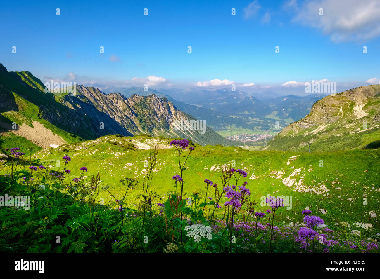 Gaißalpe am Sonnenbichl, Alpes d'Allgäu, Oberstdorf, Upper Oberallgäu district, district Oberallgäu, souabe, Bavière, Allemagne Banque D'Images