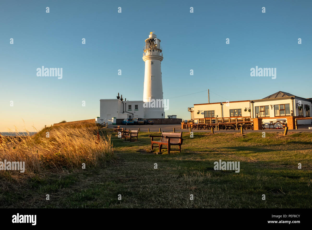 Il y a tant d'une vue fantastique sur la grande côte du Yorkshire. C'est de l'accueil, de Flamborough étonnantes falaises, le phare et la faune fantastique Banque D'Images