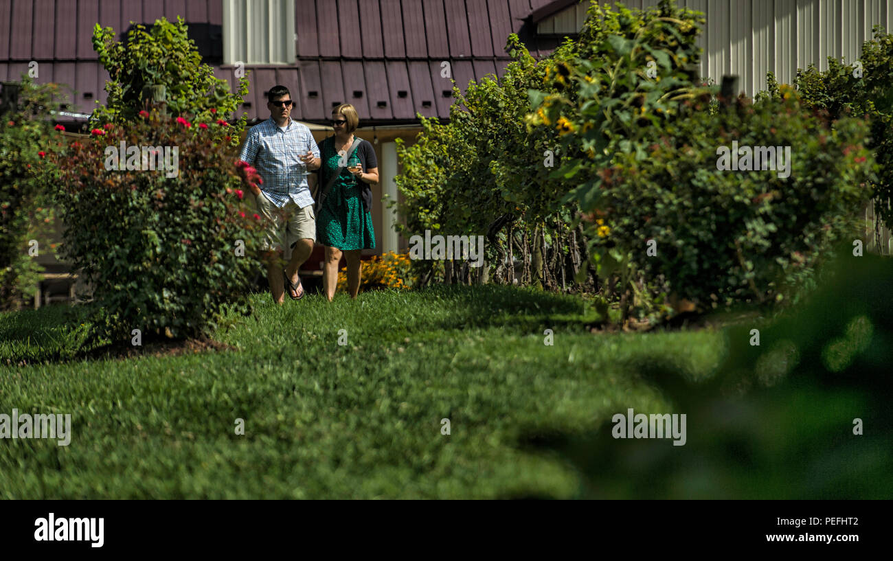 États-unis : 14 août 2018 : Pearmund Cellars est situé dans le magnifique pied de Fauquier Comté de l'Est, VA, à proximité du Nord canadien Banque D'Images