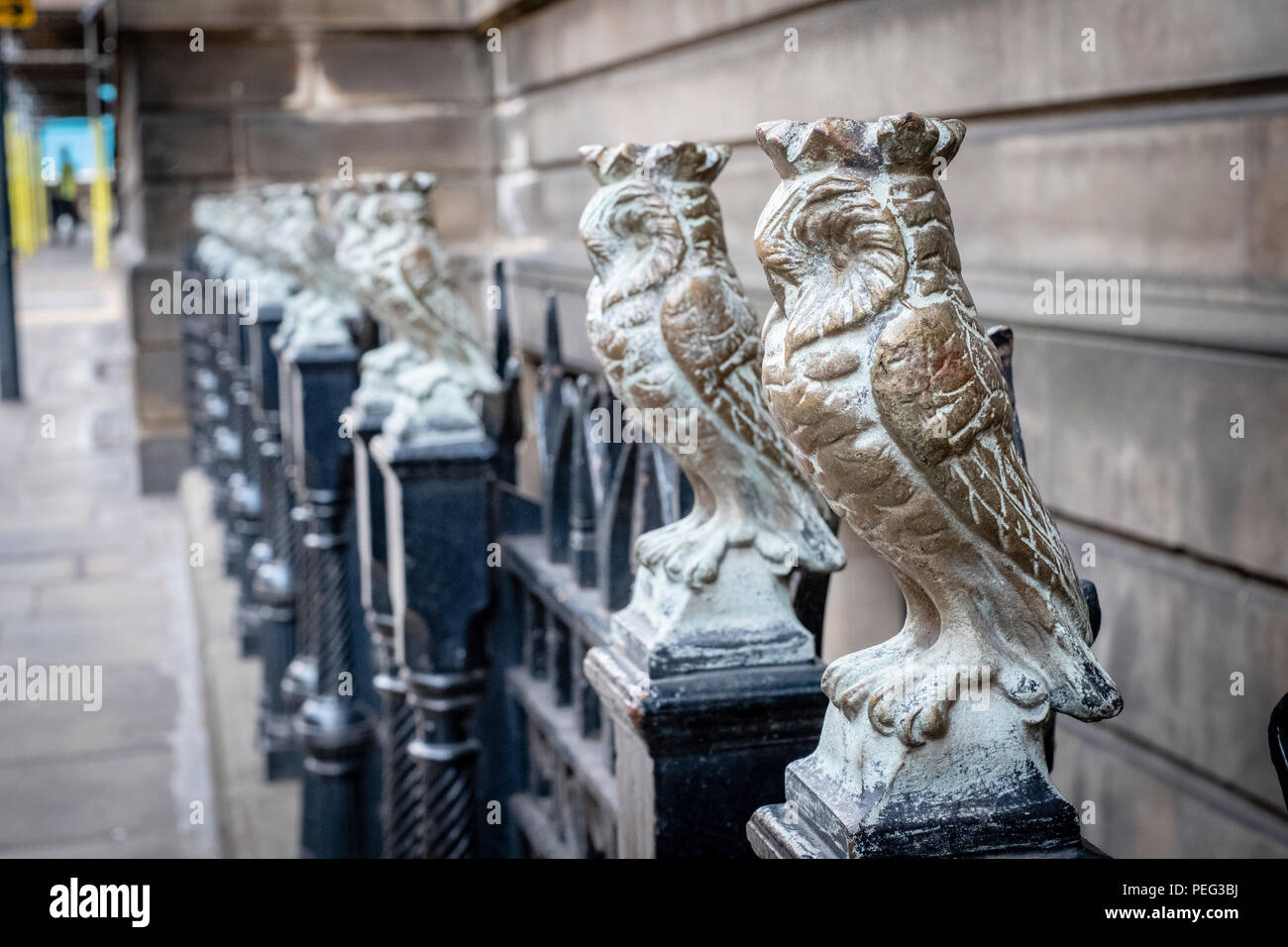 Les hiboux sur les grilles de la bibliothèque de la ville de Leeds. Banque D'Images