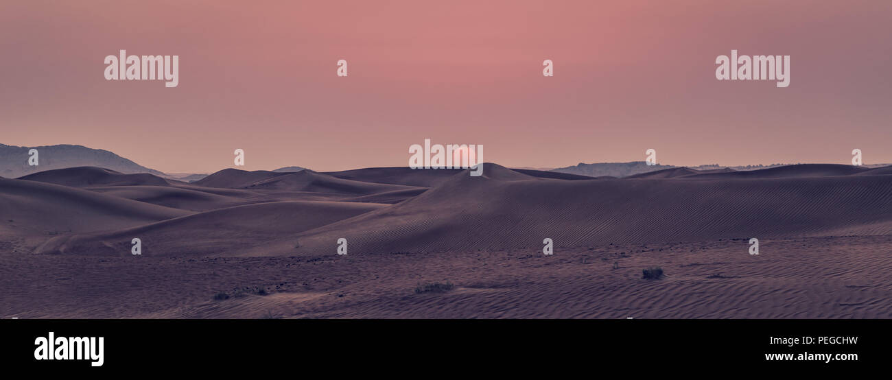 De belles dunes de sable dans le désert. Banque D'Images